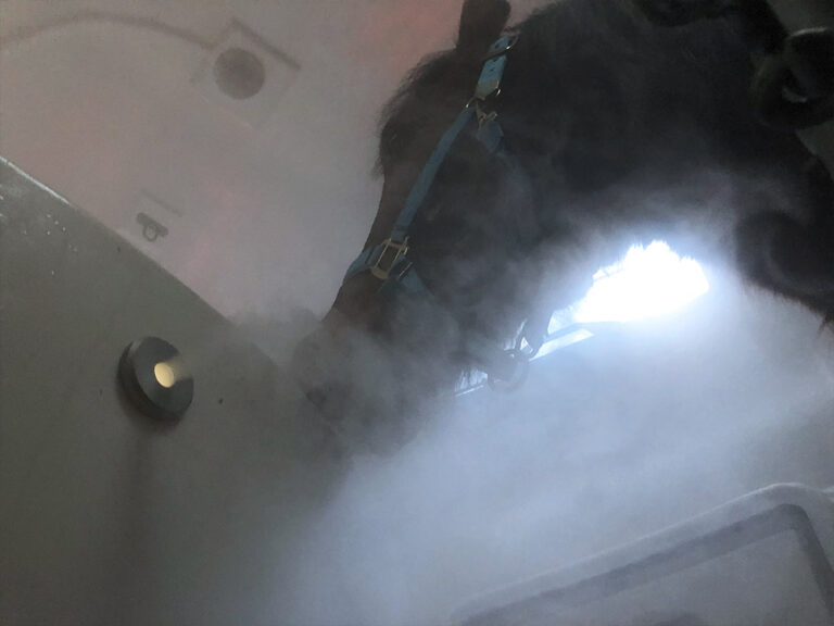 Soleairmobil Pferd inhaliert in der dampfenden Solekammer